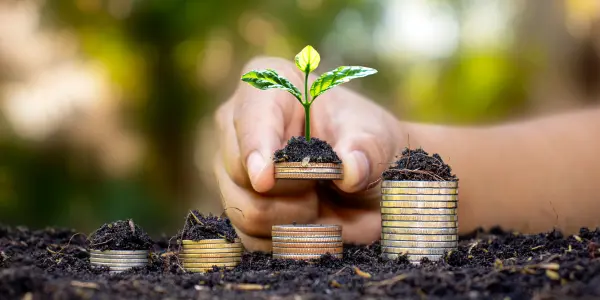 Maximizing Profitability with Effective Corporate Cash Flow Management Strategies